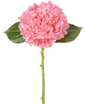 Den konstgjorda blomman Charlotte Hydrangea Real Touch Pink 49 cm har en enda rosa hortensia med täta, runda klasar av kronblad, två gröna blad och en lång grön stjälk på vit bakgrund.