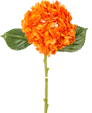 Den konstgjorda blomman Charlotte hortensia Real Touch orange 49 cm har en orange hortensiablomma med realistiska kronblad, gröna blad och en lång stjälk, isolerad på en vit bakgrund.