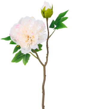 En enda stjälk av konstgjord blompion 50 cm vit har en stor, vit pionblomma i full blom, en sluten knopp och gröna blad mot en vanlig vit bakgrund.