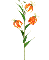 Den konstgjorda blomman Gloriosa Real Touch Orange 75 cm har en hög grön stjälk med tre stora orange och gula liljor och långa, smala gröna blad, vackert utställda på en vit bakgrund.