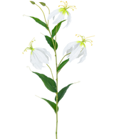 Den konstgjorda blomman Gloriosa Real Touch White 75 cm har en enda grön stjälk med tre öppna vita Gloriosablommor, två knoppar, långa gula ståndare och långsträckta gröna blad mot en vanlig vit bakgrund.