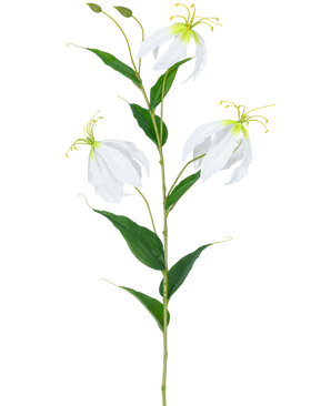 Den konstgjorda blomman Gloriosa Real Touch White 75 cm har en enda grön stjälk med tre öppna vita Gloriosablommor, två knoppar, långa gula ståndare och långsträckta gröna blad mot en vanlig vit bakgrund.