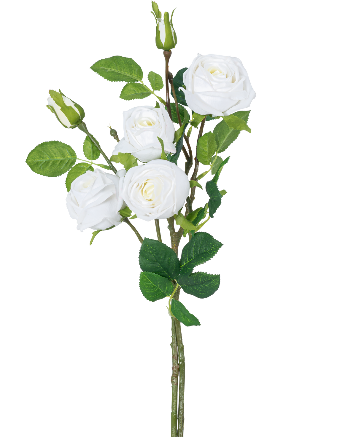 Artificiell rosgren dubbel Real Touch vit 80cm har en stjälk med tre blommande vita konstgjorda rosor, gröna blad och rosknoppar mot en vanlig vit bakgrund.