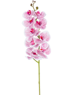 Artificiell orkidé Real Touch Deluxe 105 cm i fuchsia/vit har en enda stjälk med flera blommor, med naturtrogna rosa ådrade kronblad som bildar en slående dekorativ accent mot en vanlig vit bakgrund.