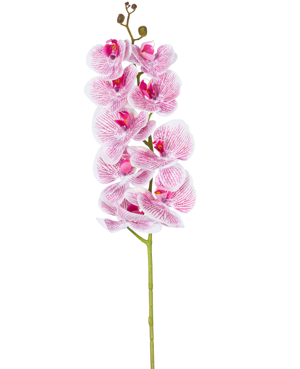 Artificiell orkidé Real Touch Deluxe 105 cm i fuchsia/vit har en enda stjälk med flera blommor, med naturtrogna rosa ådrade kronblad som bildar en slående dekorativ accent mot en vanlig vit bakgrund.