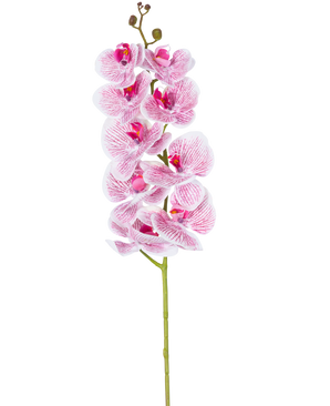 Artificiell orkidé Real Touch Deluxe 105 cm i fuchsia/vit har en enda stjälk med flera blommor, med naturtrogna rosa ådrade kronblad som bildar en slående dekorativ accent mot en vanlig vit bakgrund.