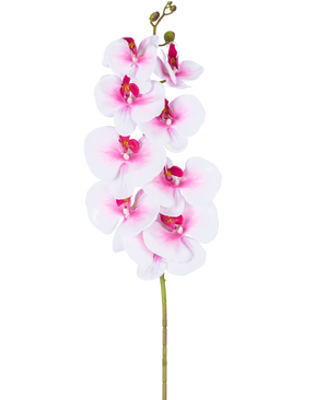 Artificiell Orchid Real Touch Deluxe 105 cm rosa/vit har en enda rosa konstgjord phalaenopsis-stam med vita accenter, realistiska sidenblommor och knoppar, allt elegant utställt på en vit bakgrund.