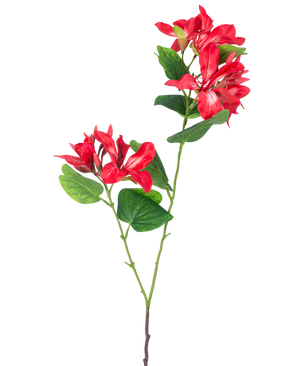Den konstgjorda blomman Rhododendron 85 cm ljusröd är en konstgjord stjälk med gröna blad och två knippen ljusröda och vita blommor på vit bakgrund.