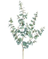 Artificiell Eucalyptus 120 cm har flera tunna stjälkar och runda, blågröna blad mot en vanlig vit bakgrund.