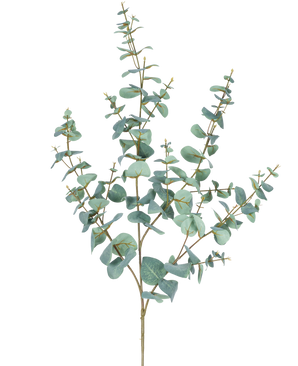 Artificiell Eucalyptus 120 cm har flera tunna stjälkar och runda, blågröna blad mot en vanlig vit bakgrund.