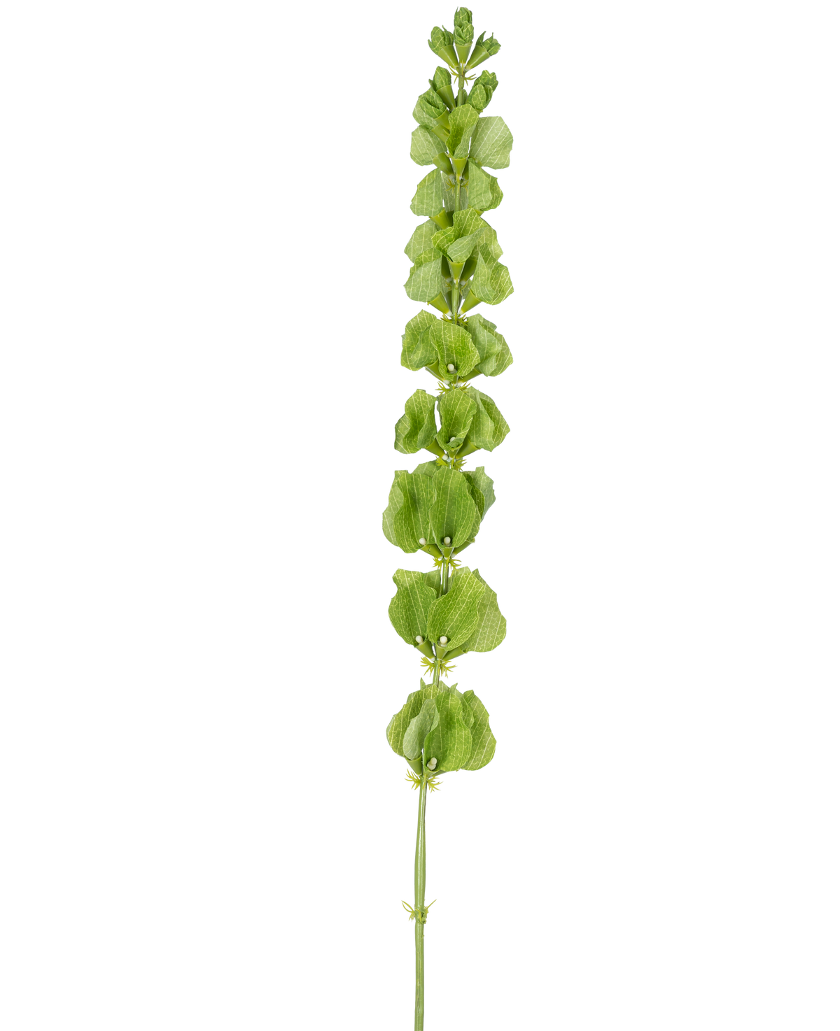 De konstgjorda blomklockorna från Irland 98 cm har en enda upprätt grön stjälk med flera runda gröna blad eller högblad jämnt fördelade längs sin längd, på en vanlig vit bakgrund.