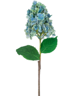 En enda stjälk av artificiell hortensia 93 cm blå med blå och gröna hortensiablommor med frodiga gröna blad, isolerade på en vit bakgrund.