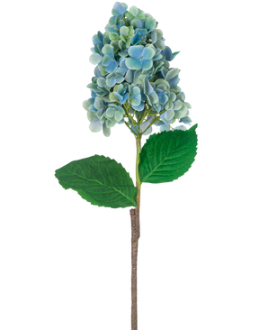 En enda stjälk av artificiell hortensia 93 cm blå med blå och gröna hortensiablommor med frodiga gröna blad, isolerade på en vit bakgrund.