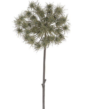 Den konstgjorda blomma björnklotet 100 cm är en enda konstgjord stjälk med klasar av trasiga, gröngrå blomhuvuden som står upprätt mot en vanlig vit bakgrund.