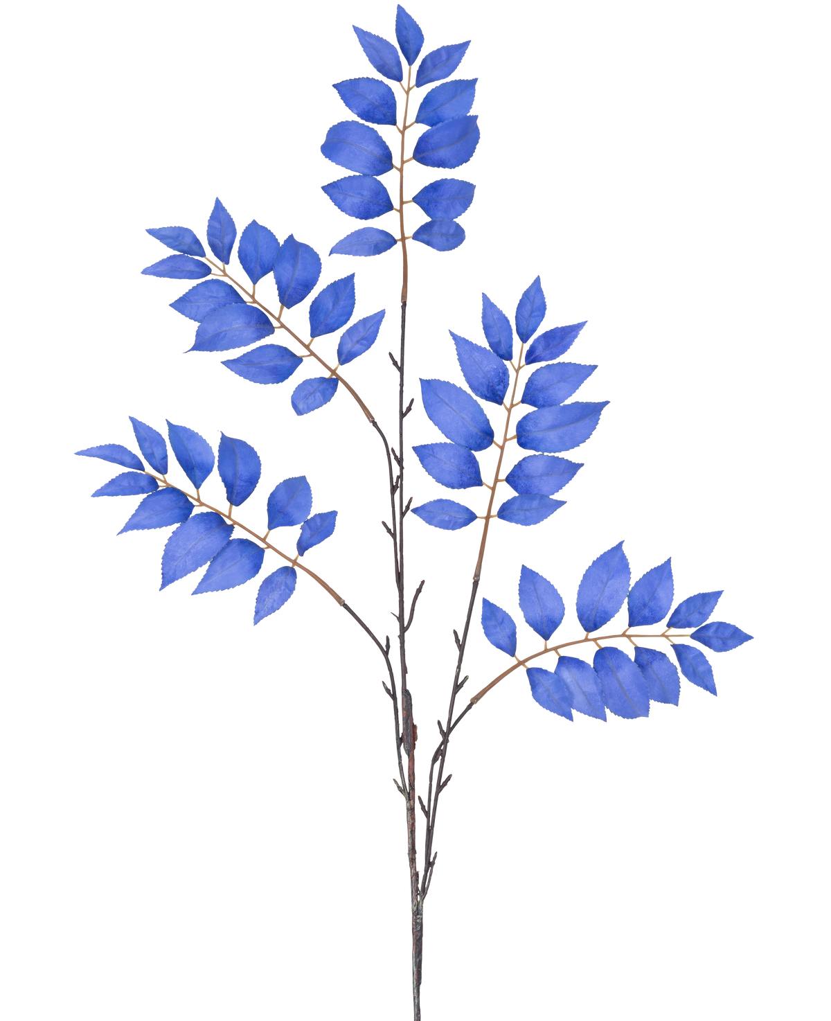 En akvarellillustration av den konstgjorda grenen Fern förgrenad, en konstgjord gren på 83 cm med flera tunna stjälkar och klasar av blå löv, mot en vit bakgrund.