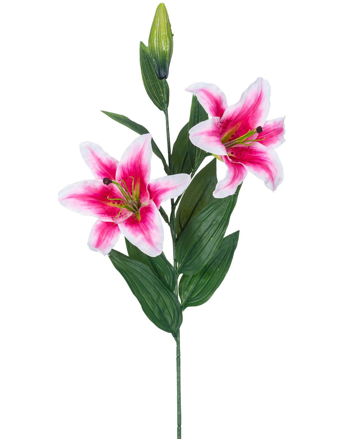 Den konstgjorda blomliljan 85 cm rosa har två blommande rosa och vita liljor, en sluten knopp och ett antal långa gröna blad, vackra mot en vit bakgrund.