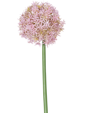 En enda hög lila stjälk av den konstgjorda blomman Allium Large 80 cm, bärande en stor, rund klase av små stjärnformade blommor, avbildade på en vit bakgrund.