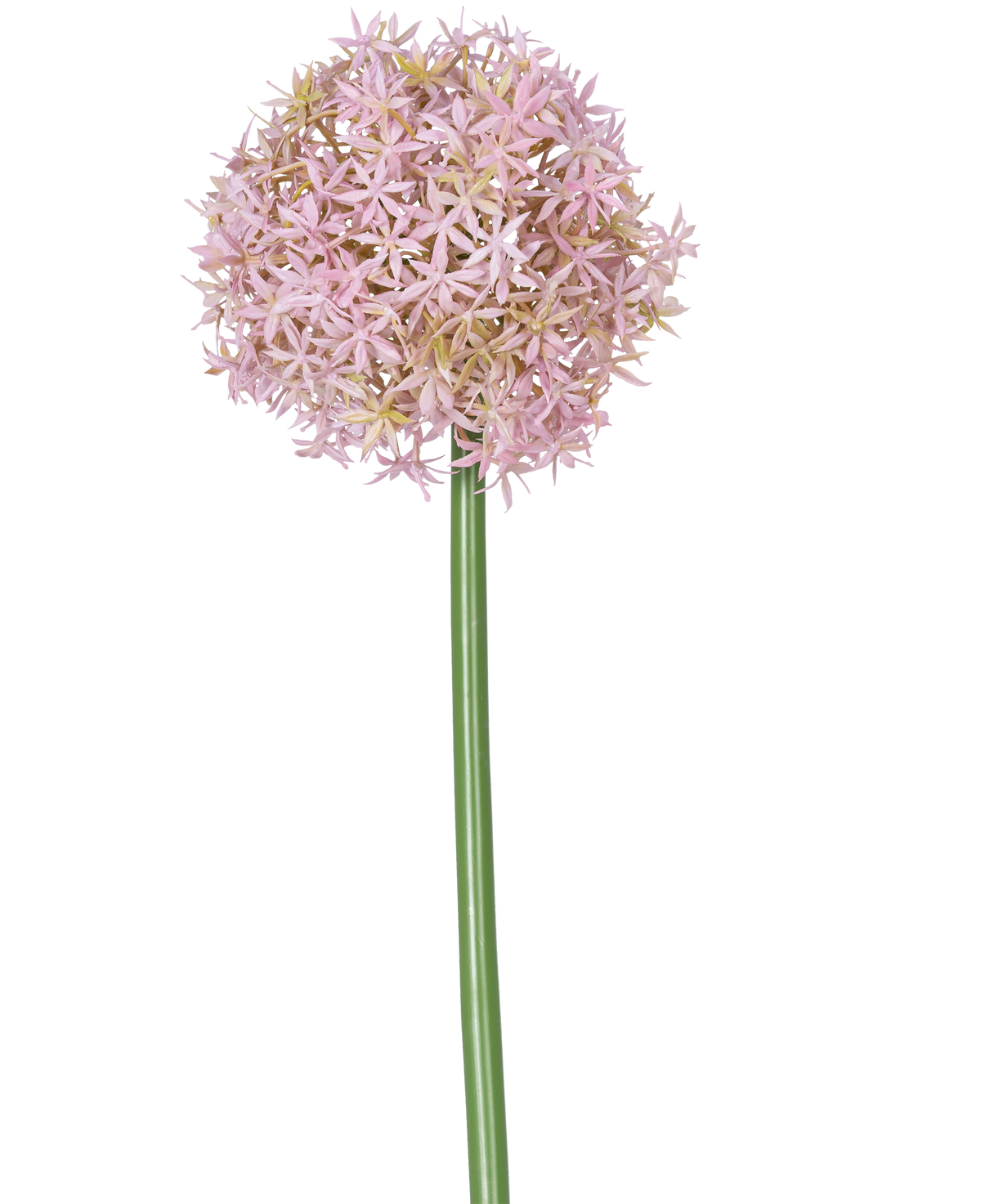 En enda hög lila stjälk av den konstgjorda blomman Allium Large 80 cm, bärande en stor, rund klase av små stjärnformade blommor, avbildade på en vit bakgrund.