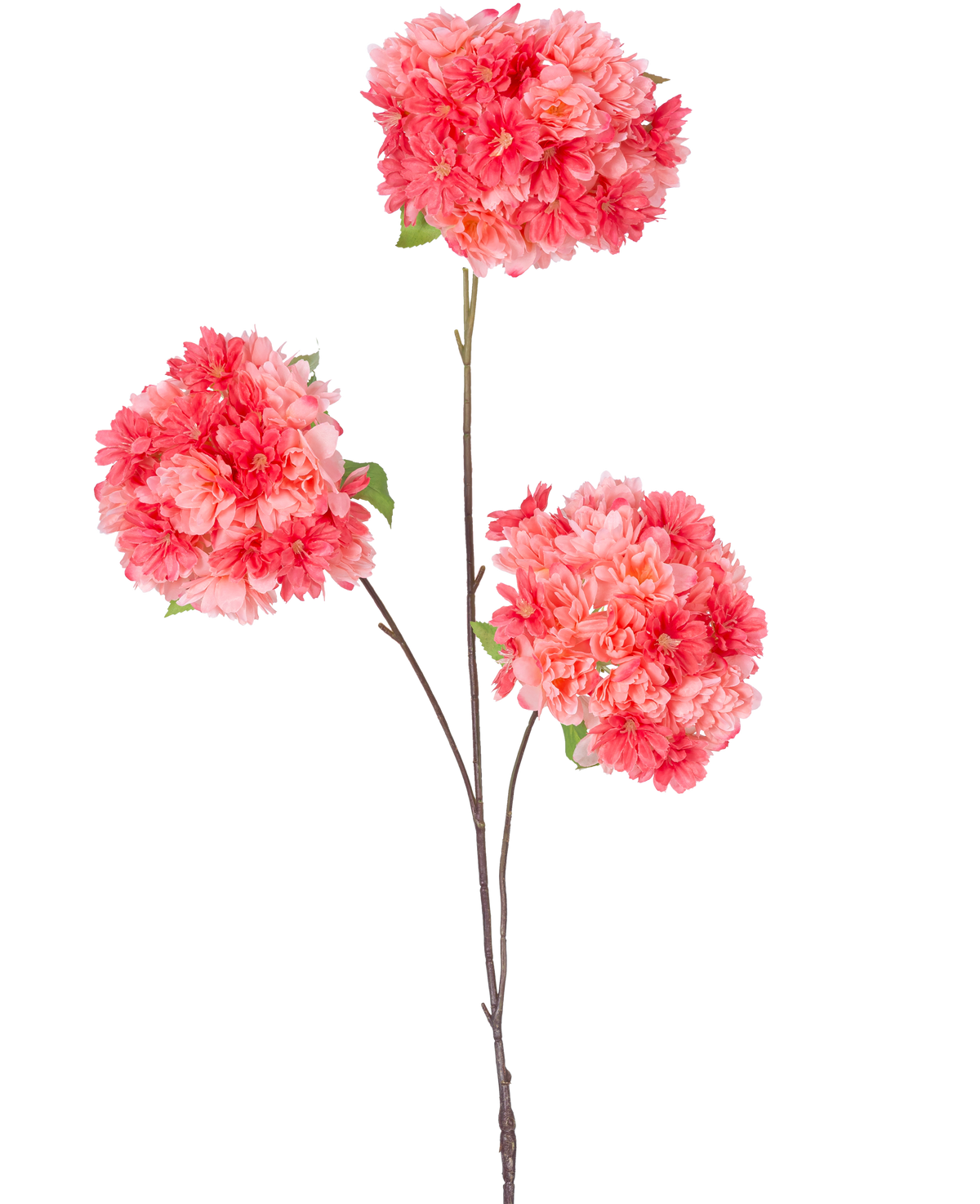 En enda tunn brun stjälk av den artificiella grenen Cherry Blossom 85 cm korall innehåller tre klasar av livfulla rosa och korall körsbärsblommor med gröna blad, mot en vanlig vit bakgrund.