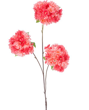 En enda tunn brun stjälk av den artificiella grenen Cherry Blossom 85 cm korall innehåller tre klasar av livfulla rosa och korall körsbärsblommor med gröna blad, mot en vanlig vit bakgrund.