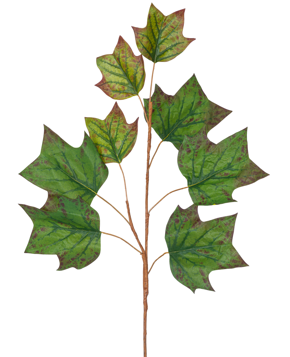 En gren av Konstgren Ekblad 84 cm grön med flera stora, gröna, ekformade blad med brunröda fläckar mot en vanlig vit bakgrund.