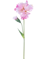 Artificiell Blomma Iris 80 cm rosa har en enda rosa irisstam med volanger i kronbladen och en sluten knopp, mot en vanlig vit bakgrund.