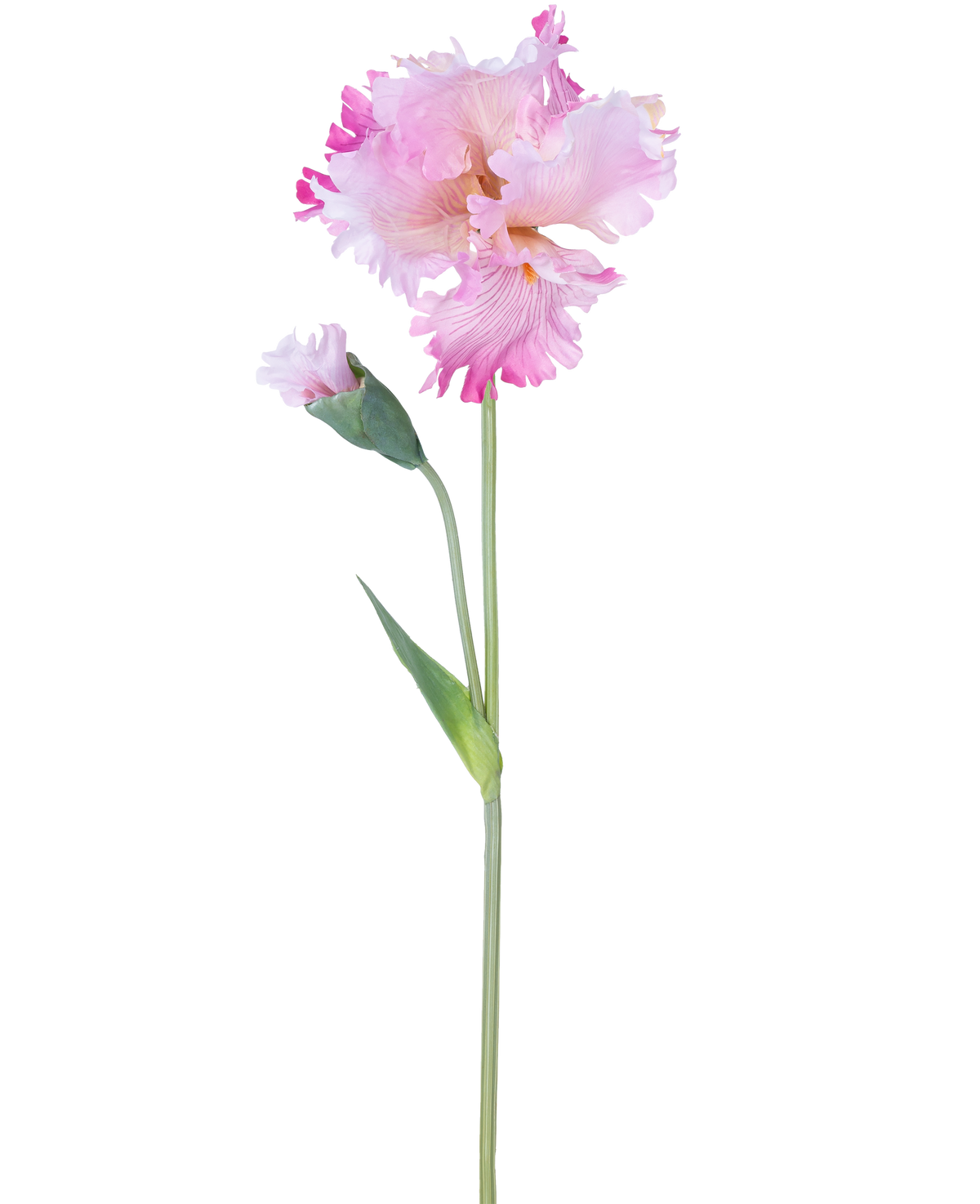 Artificiell Blomma Iris 80 cm rosa har en enda rosa irisstam med volanger i kronbladen och en sluten knopp, mot en vanlig vit bakgrund.