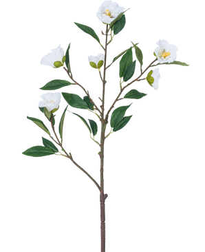 Konstblomma Camellia 80 cm vit har en enda gren med flera gröna blad och flera blommande vita blommor mot en vanlig vit bakgrund.