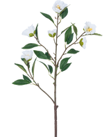 Konstblomma Camellia 80 cm vit har en enda gren med flera gröna blad och flera blommande vita blommor mot en vanlig vit bakgrund.