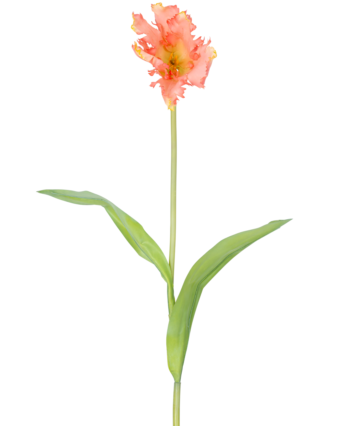 En enkel konstgjord blomma fransk parakittulpan 76 cm korall med volanger av rosa och gula kronblad och två långa gröna blad på en lång stjälk, mot en vanlig vit bakgrund.