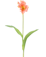 En enkel konstgjord blomma fransk parakittulpan 76 cm korall med volanger av rosa och gula kronblad och två långa gröna blad på en lång stjälk, mot en vanlig vit bakgrund.