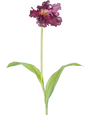 Artificiell blomma fransk parakit tulpan 76 cm lila är en enda konstgjord lila tulpan med volanger i kronbladen och två långsträckta gröna blad på en lång stjälk, mot en vanlig vit bakgrund.