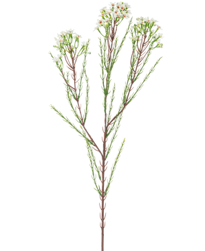 Den konstgjorda grenen vaxblomma 78 cm krämen har en enda hög stjälk med tunna gröna blad och klasar av små, krämvita blommor i toppen, mot en enkel, ljus bakgrund.