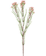 Den konstgjorda grenens vaxblomma 78 cm rosa har en enda stjälk med tunna gröna blad och flera klasar av små, ljusrosa blommor i toppen, mot en vit bakgrund.