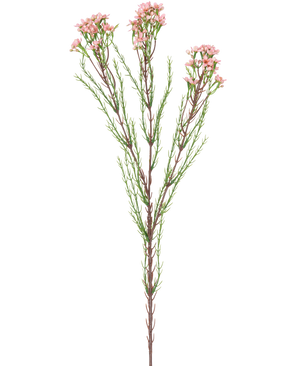 Den konstgjorda grenens vaxblomma 78 cm rosa har en enda stjälk med tunna gröna blad och flera klasar av små, ljusrosa blommor i toppen, mot en vit bakgrund.
