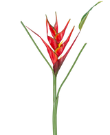 Den konstgjorda blomman Heliconia 90 cm röd har en enda konstgjord Heliconia-blomma med livfulla röda och gula högblad på en lång grön stjälk, komplett med smala blad, perfekt att visa mot en vit bakgrund.