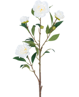 Den konstgjorda blomma Camellia 80 cm vit har en enda brun stjälk med flera gröna blad och flera vita kameliablommor, några i blom och andra i knoppform, allt mot en vanlig vit bakgrund.