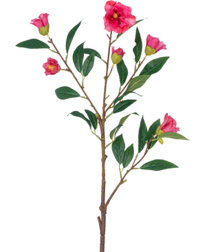 Den konstgjorda blomma Camellia 80 cm rosa är en enda stjälk med flera grenar, gröna blad och flera ljust rosa blommor och knoppar, isolerade på en vit bakgrund.