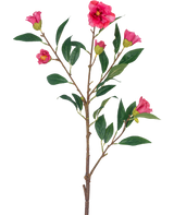 Den konstgjorda blomma Camellia 80 cm rosa är en enda stjälk med flera grenar, gröna blad och flera ljust rosa blommor och knoppar, isolerade på en vit bakgrund.