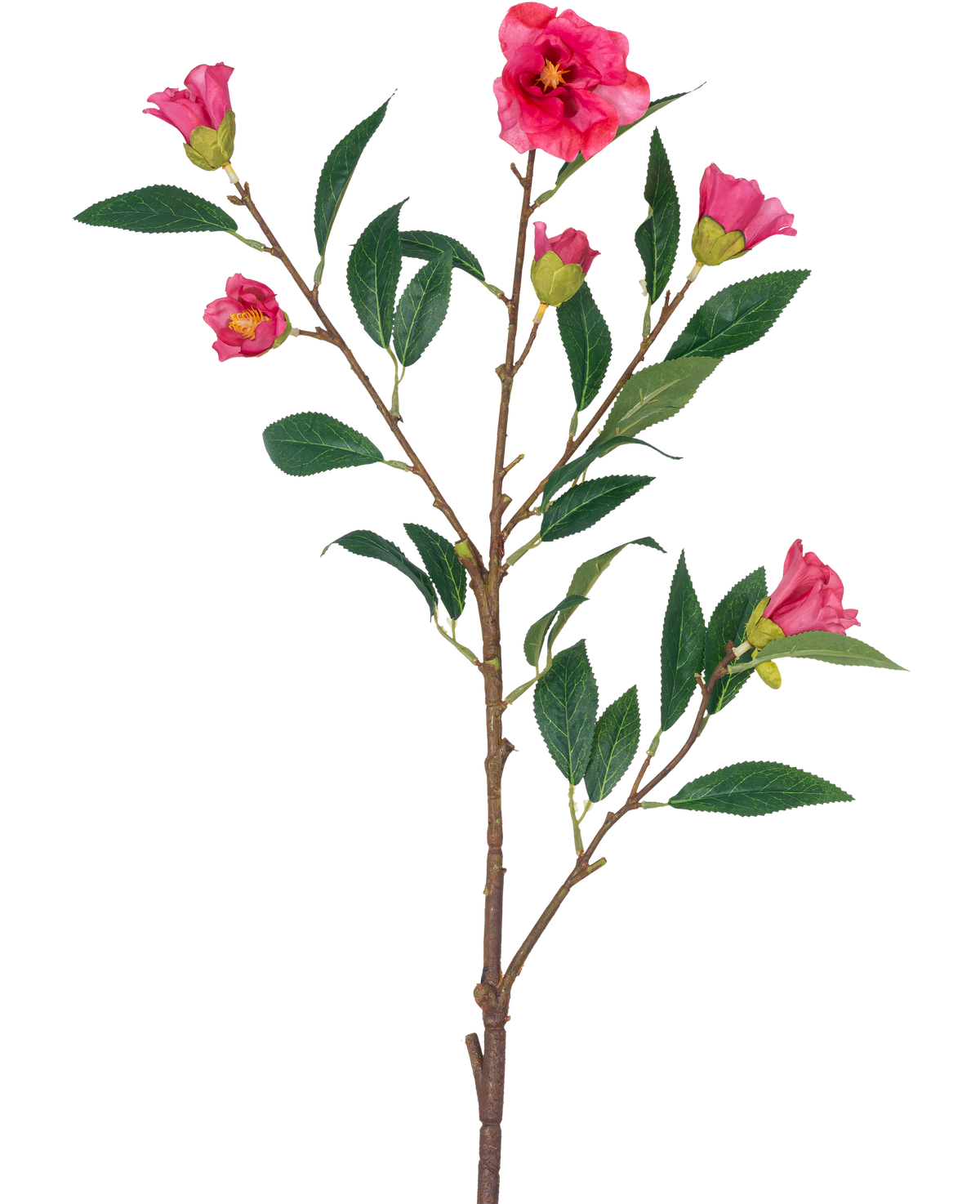Den konstgjorda blomma Camellia 80 cm rosa är en enda stjälk med flera grenar, gröna blad och flera ljust rosa blommor och knoppar, isolerade på en vit bakgrund.