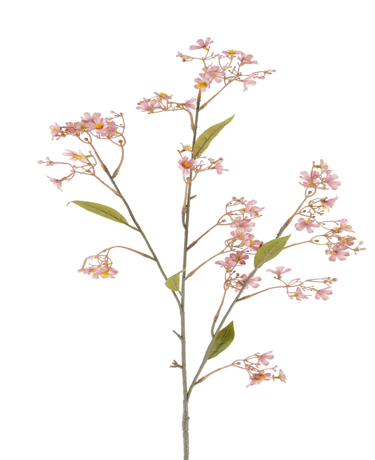 En enda stjälk av den konstgjorda blomman Daphne på 108 cm i gammalrosa, med små klasar av mjukrosa blommor och några gröna blad mot vit bakgrund.