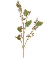 En enda stjälk av den konstgjorda blomsterdaggbäret, 78 cm hög, med flera gröna blad och klasar av små, runda beige bär på tunna bruna stjälkar i grå och lila toner, mot en vit bakgrund.