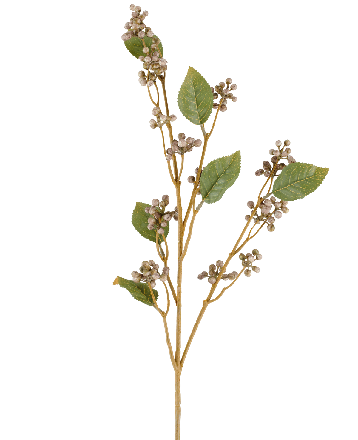 En enda stjälk av den konstgjorda blomsterdaggbäret, 78 cm hög, med flera gröna blad och klasar av små, runda beige bär på tunna bruna stjälkar i grå och lila toner, mot en vit bakgrund.