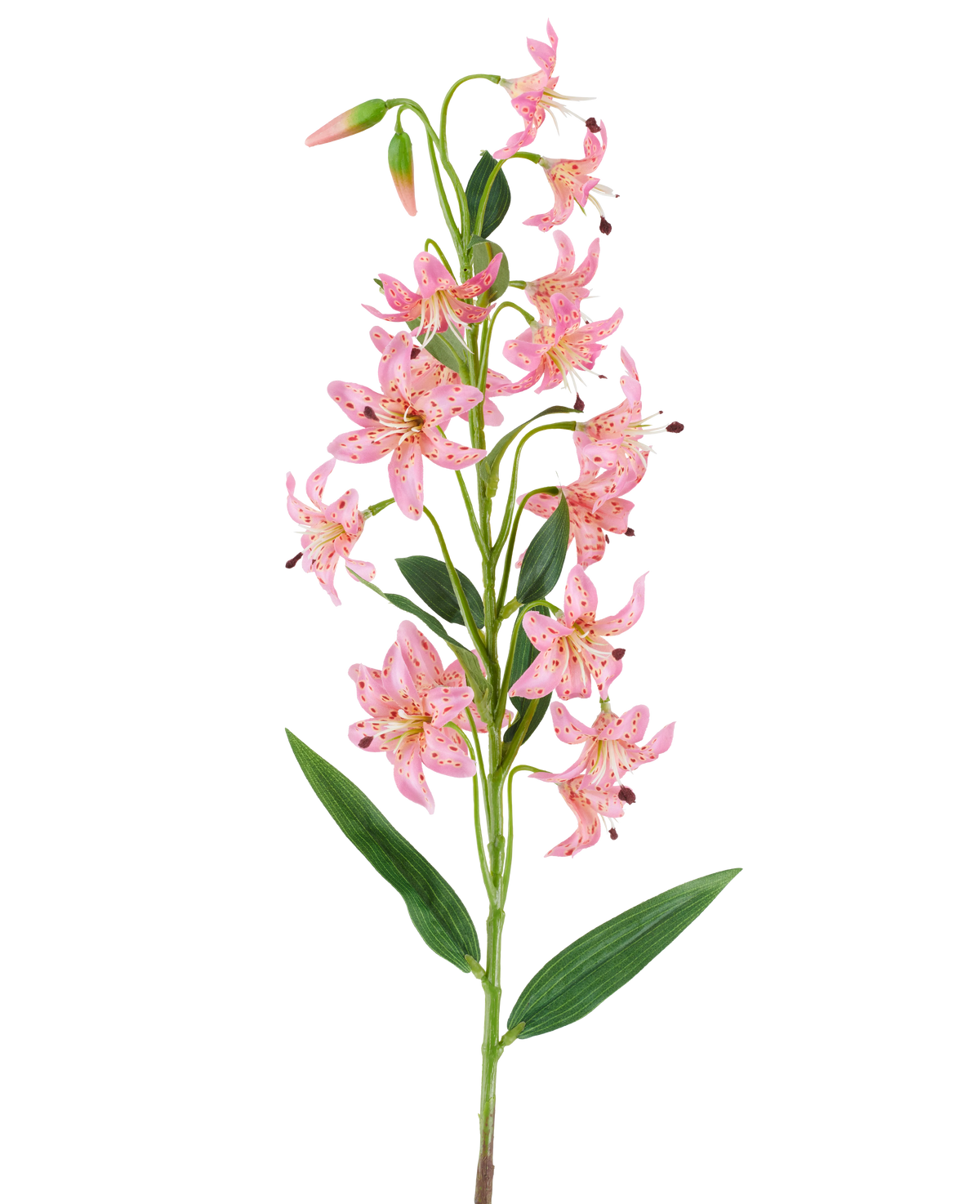 En enda stjälk av artificiell blomlilja 82 cm fuchsia, med livfulla fuchsiafärgade liljablommor med mörka fläckar, gröna blad och knoppar mot en vit bakgrund.
