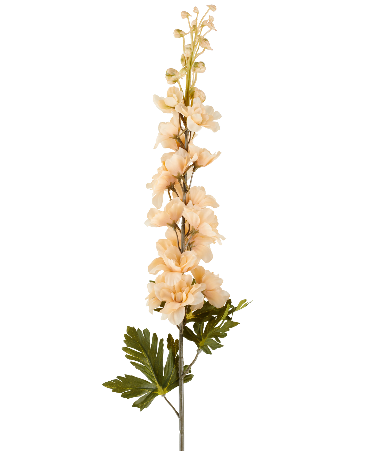 En enda stjälk av Artificiell Delphinium blomma 79 cm kräm/brun, med flera krämfärgade och bruna blommor och gröna blad, avbildad mot en vit bakgrund.
