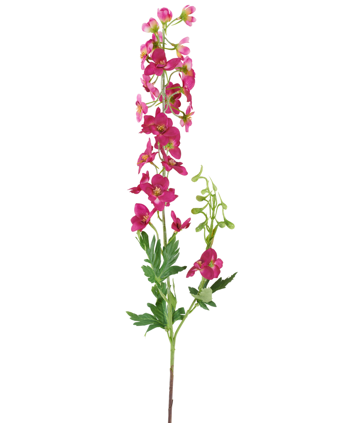 En enda stjälk av den konstgjorda blomman Delphinium 79 cm mörkrosa, med ljusrosa konstgjorda blommor, gröna blad och knoppar, isolerad mot en vit bakgrund.