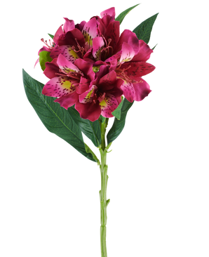 En enda stjälk av den konstgjorda Alstroemeria-blomman som mäter 74 cm i röda och lila toner, med verklighetstrogna blommor och gröna blad, isolerade mot en vit bakgrund.