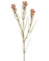 Ett enda 78 cm konstgjordt blomvax i gammalrosa har en grön stjälk med tre grenar, som var och en bär små, ömtåliga gammalrosa blommor och tunna, nålliknande blad, som visas mot en vanlig vit bakgrund.