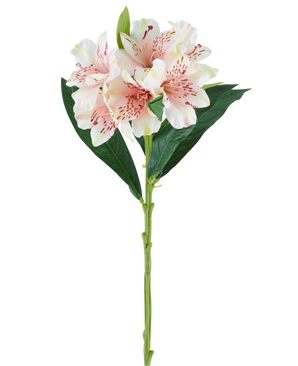 En enda stjälk av den konstgjorda Alstroemeria-blomman 74 cm ljusrosa med gröna blad och tre ljusrosa blommor med mörkrosa fläckar, mot en vit bakgrund.