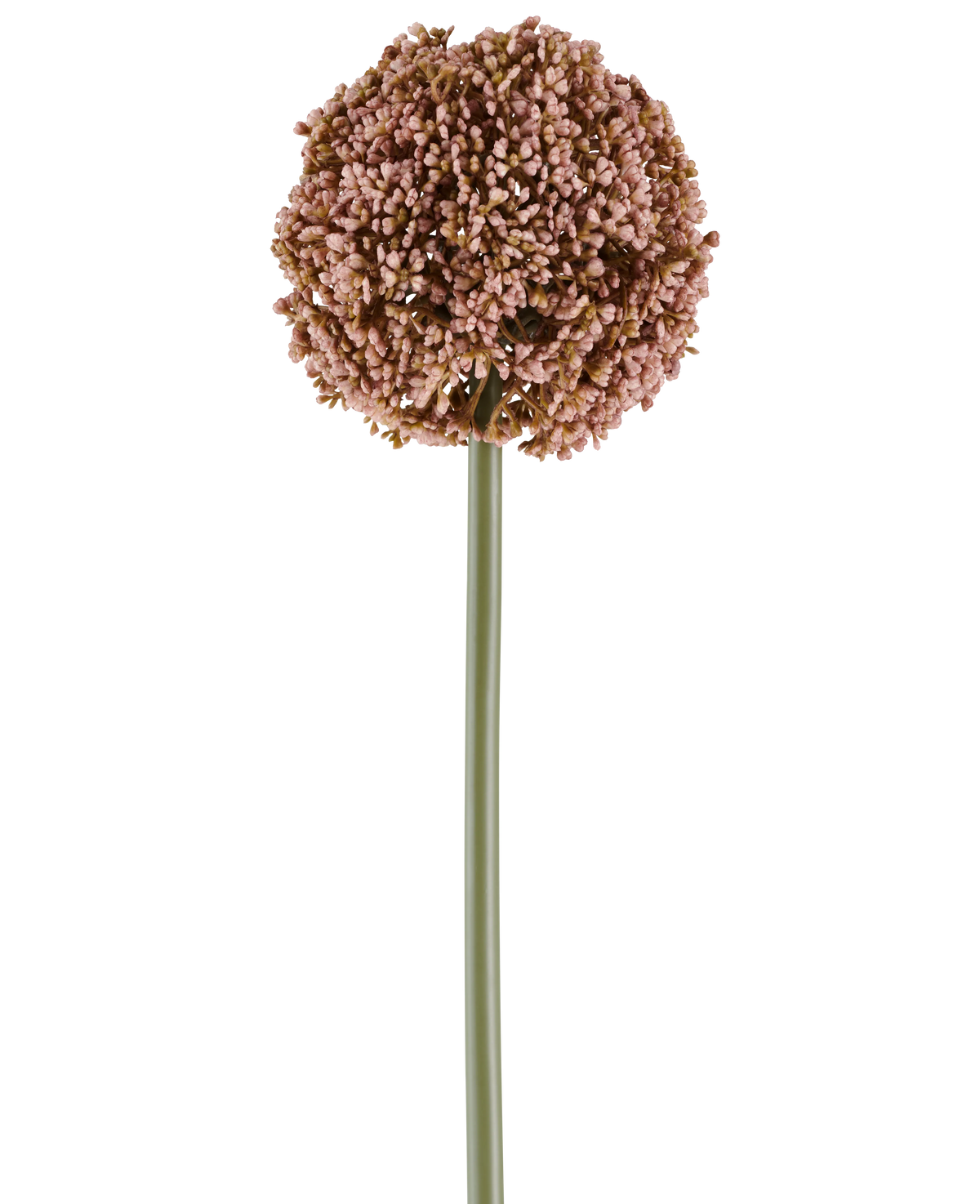 En enda artificiell blomma Allium på 75 cm i lila, med en lång grön stjälk och en stor, rund klase av små lila knoppar, avbildad på en vit bakgrund.